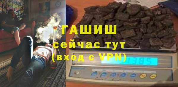 гашик Алексин