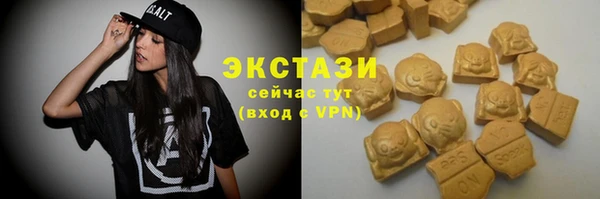 гашик Алексин