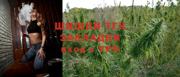 гашик Алексин