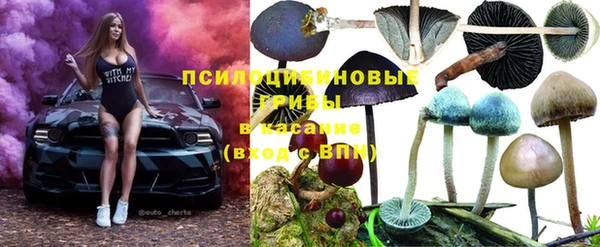 соль ск Армянск