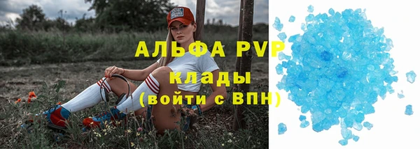 гашик Алексин