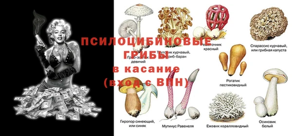 mdpv Алзамай